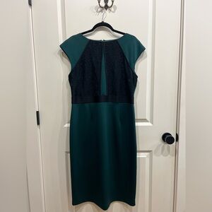 New York & Company Dark Green and Black Lace Dress Size XL